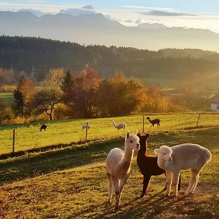 Bergblick- Techelsberg Panoramablick * Hadanig