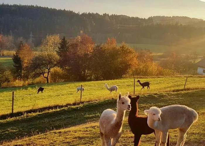 Bergblick- Techelsberg * Hadanig